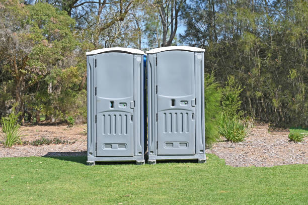 Organic Lawn Care Solutions in Hooks, TX